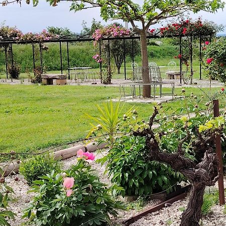 Gite En Provence "Rose" Modene Luaran gambar