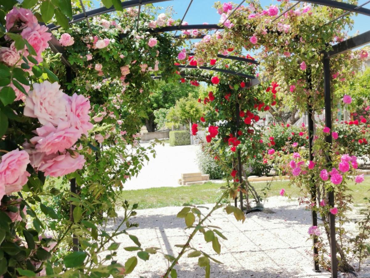 Gite En Provence "Rose" Modene Luaran gambar