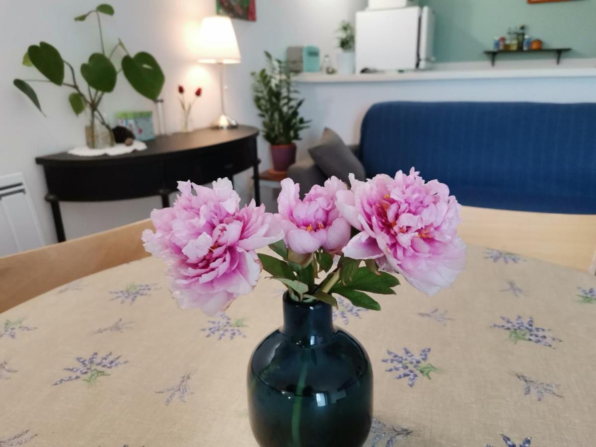 Gite En Provence "Rose" Modene Luaran gambar