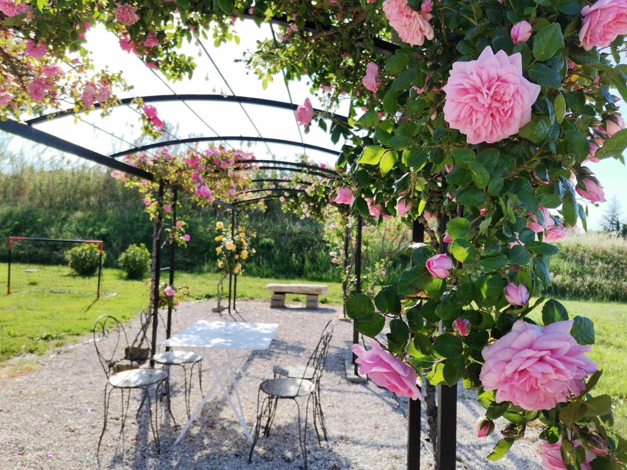 Gite En Provence "Rose" Modene Luaran gambar