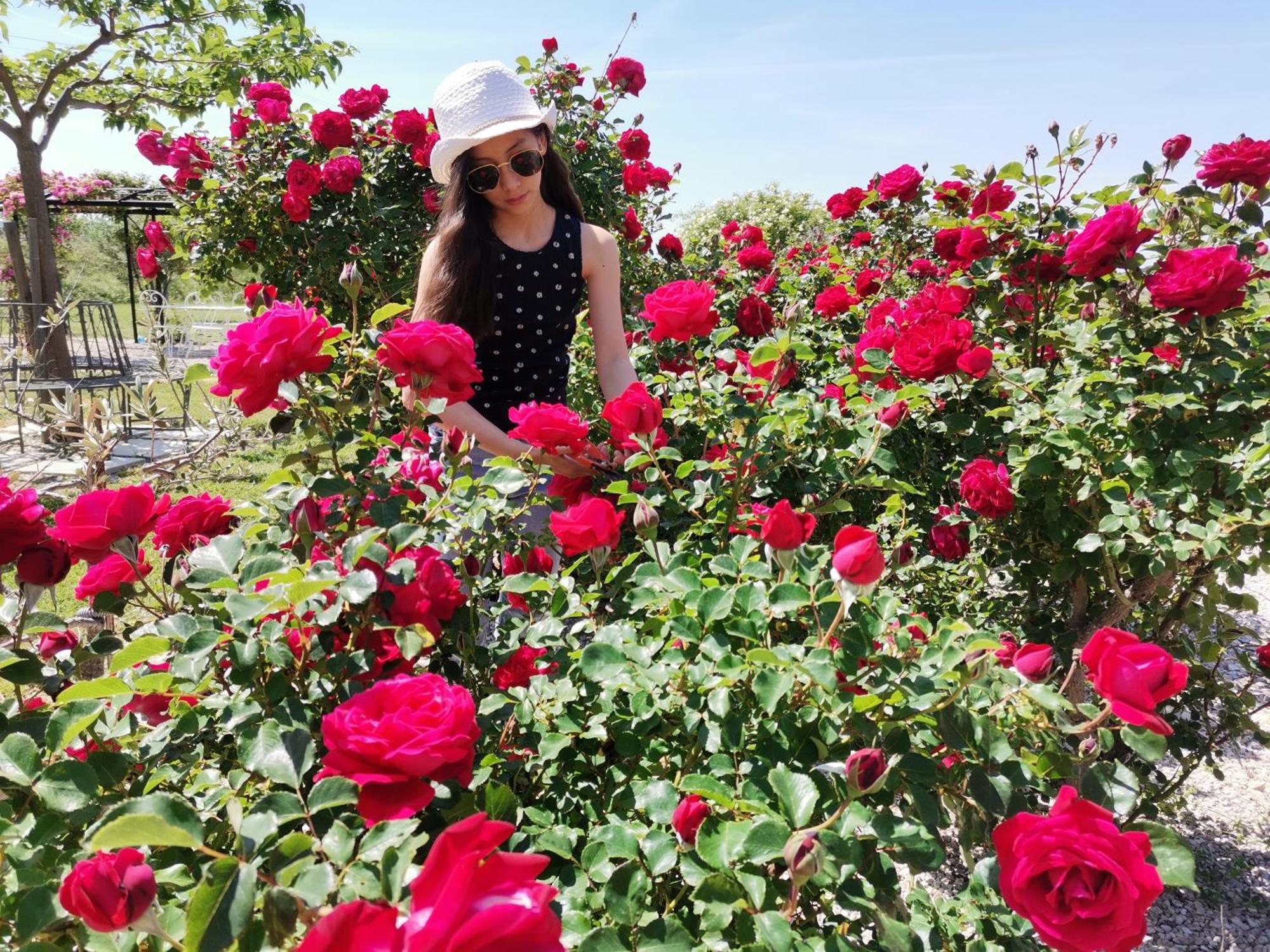 Gite En Provence "Rose" Modene Luaran gambar