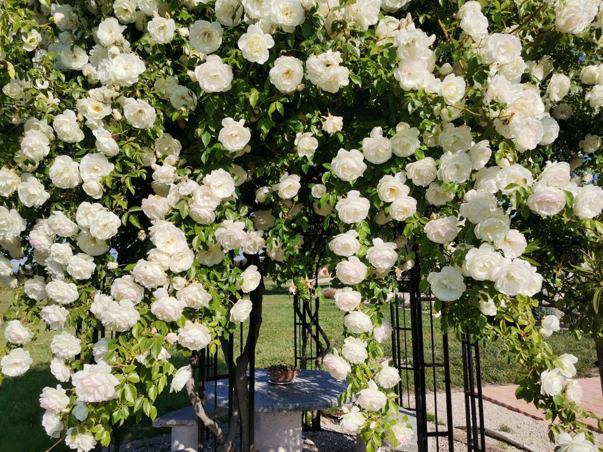 Gite En Provence "Rose" Modene Luaran gambar