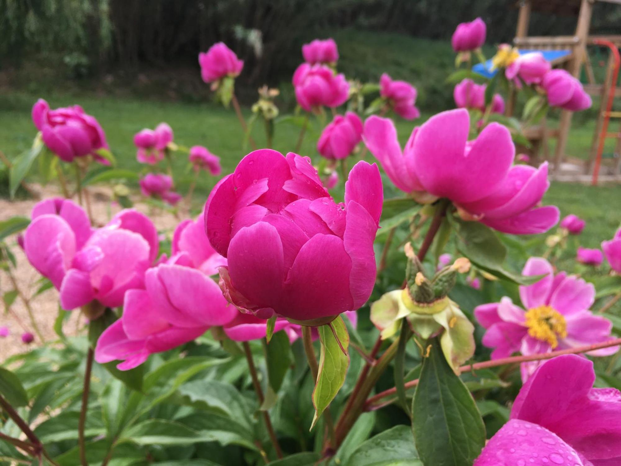 Gite En Provence "Rose" Modene Luaran gambar