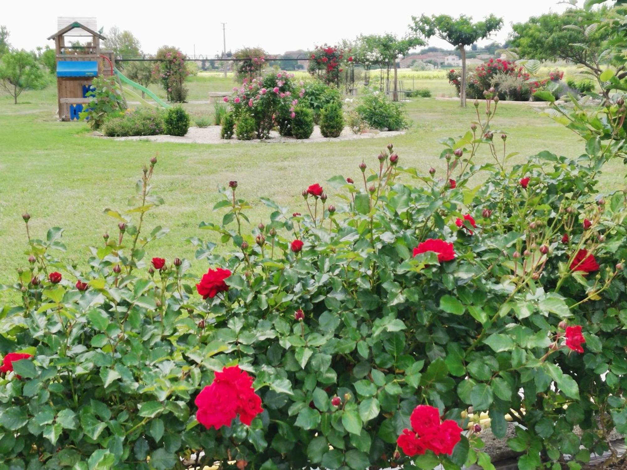 Gite En Provence "Rose" Modene Luaran gambar