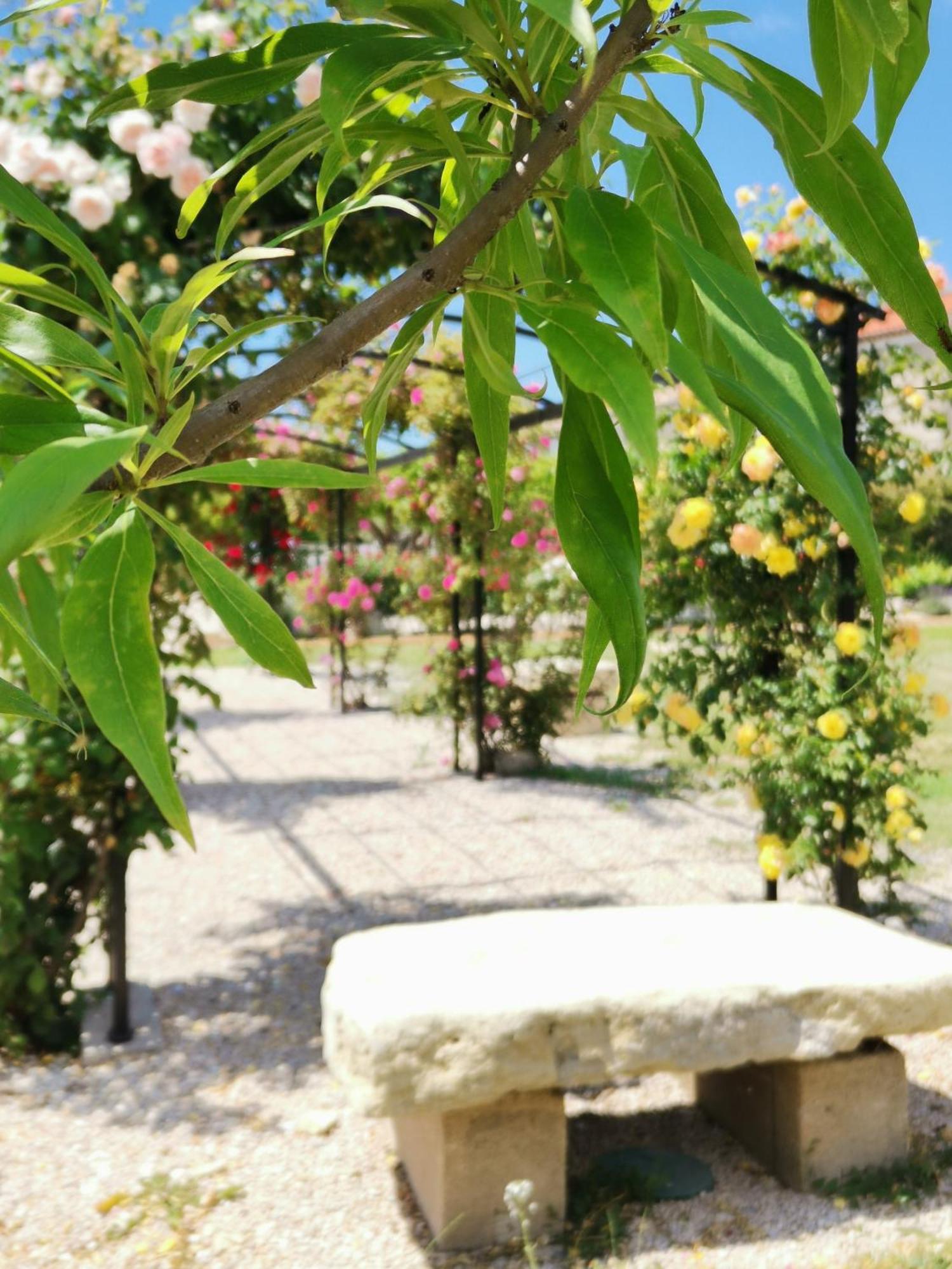 Gite En Provence "Rose" Modene Luaran gambar