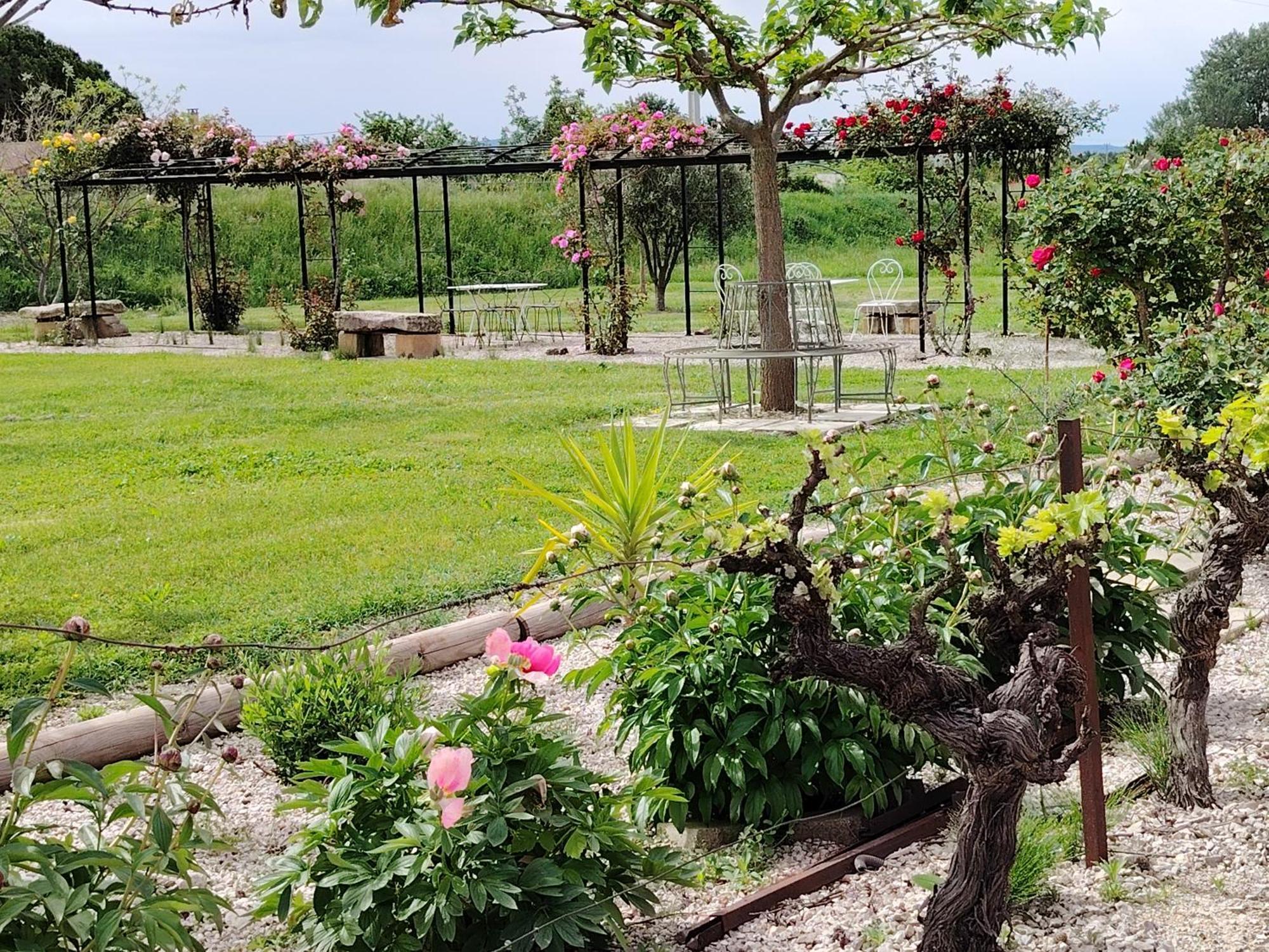 Gite En Provence "Rose" Modene Luaran gambar